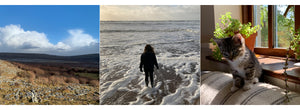 2020 in Photos