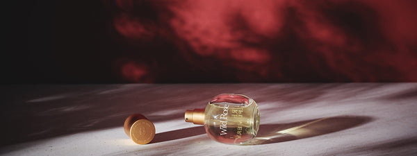 The story of our new Wild Rose perfume