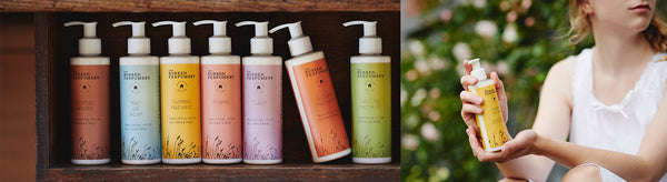 Perfume Body Lotions