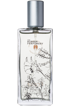Burren Perfumery Frond Eau de Parfum Irish Perfume