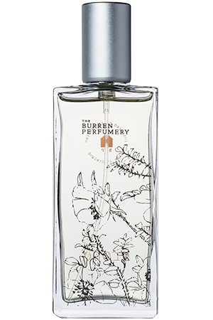Burren Perfumery Frond Eau de Parfum Irish Perfume
