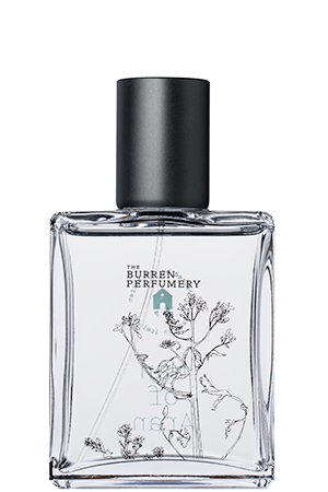 Man of Aran Eau de Toilette Irish Perfume – The Burren Perfumery