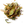 Sleep Herbal Tea